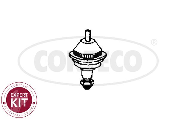 Corteco 49395661 Ball joint 49395661: Buy near me in Poland at 2407.PL - Good price!