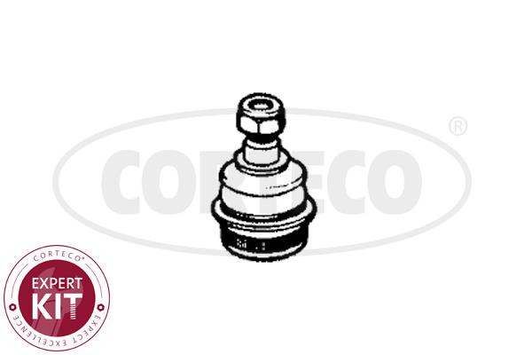 Corteco 49395662 Ball joint 49395662: Buy near me in Poland at 2407.PL - Good price!