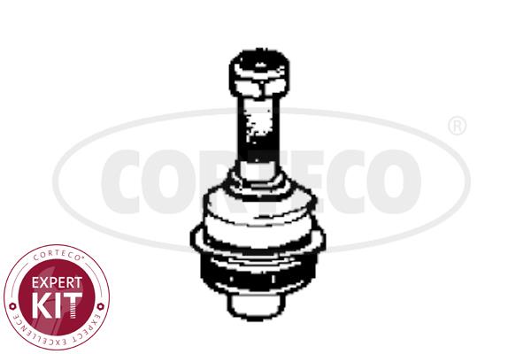 Corteco 49395683 Front lower arm ball joint 49395683: Buy near me at 2407.PL in Poland at an Affordable price!
