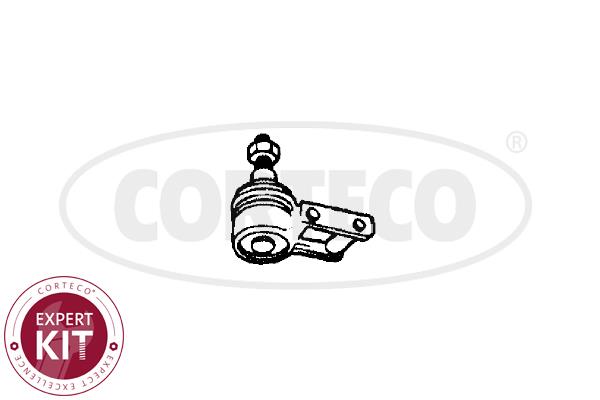 Corteco 49395691 Ball joint 49395691: Buy near me in Poland at 2407.PL - Good price!