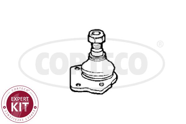 Corteco 49395697 Ball joint 49395697: Buy near me in Poland at 2407.PL - Good price!