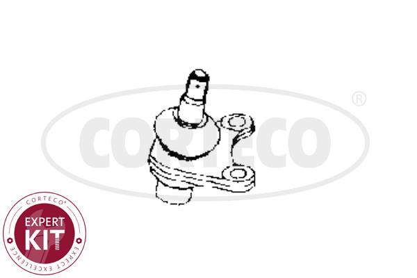 Corteco 49395699 Опора шаровая переднего нижнего рычага 49395699: Отличная цена - Купить в Польше на 2407.PL!
