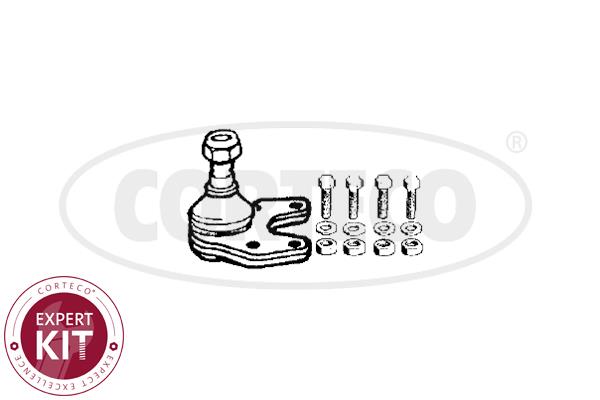 Corteco 49395748 Front lower arm ball joint 49395748: Buy near me in Poland at 2407.PL - Good price!