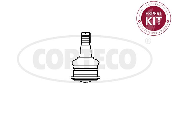 Corteco 49395763 Front lower arm ball joint 49395763: Buy near me in Poland at 2407.PL - Good price!