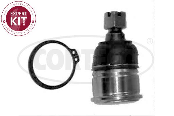 Corteco 49395816 Ball joint 49395816: Buy near me in Poland at 2407.PL - Good price!