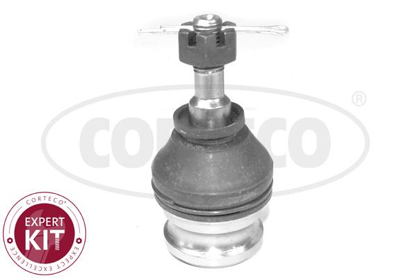 Corteco 49395853 Front lower arm ball joint 49395853: Buy near me in Poland at 2407.PL - Good price!