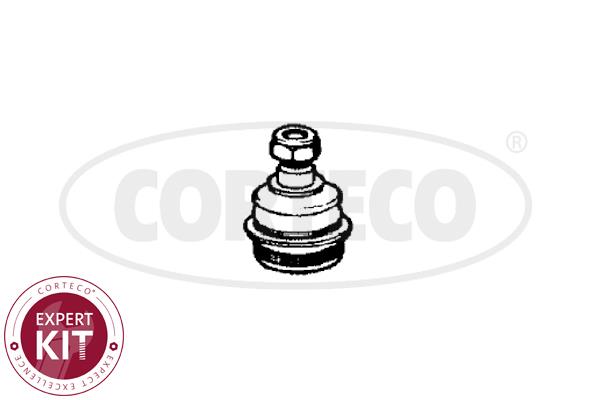 Corteco 49395879 Ball joint 49395879: Buy near me in Poland at 2407.PL - Good price!