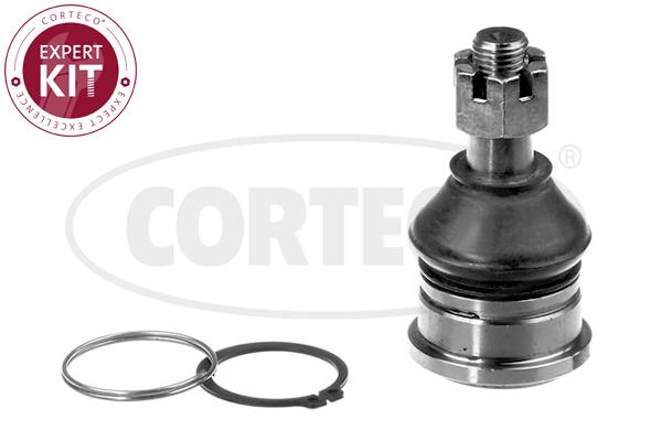 Corteco 49395904 Front lower arm ball joint 49395904: Buy near me in Poland at 2407.PL - Good price!