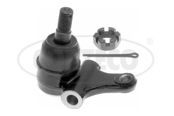Corteco 49395905 Front lower arm ball joint 49395905: Buy near me in Poland at 2407.PL - Good price!
