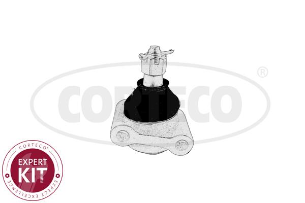 Corteco 49395923 Ball joint 49395923: Buy near me at 2407.PL in Poland at an Affordable price!