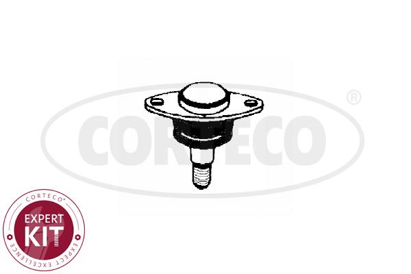 Corteco 49395927 Ball joint 49395927: Buy near me in Poland at 2407.PL - Good price!
