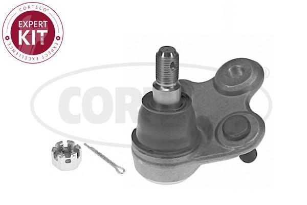 Corteco 49395956 Front lower arm ball joint 49395956: Buy near me in Poland at 2407.PL - Good price!
