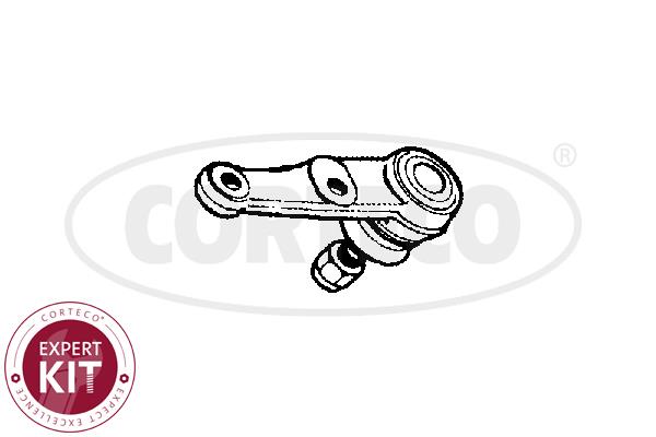 Corteco 49395990 Front lower arm ball joint 49395990: Buy near me in Poland at 2407.PL - Good price!