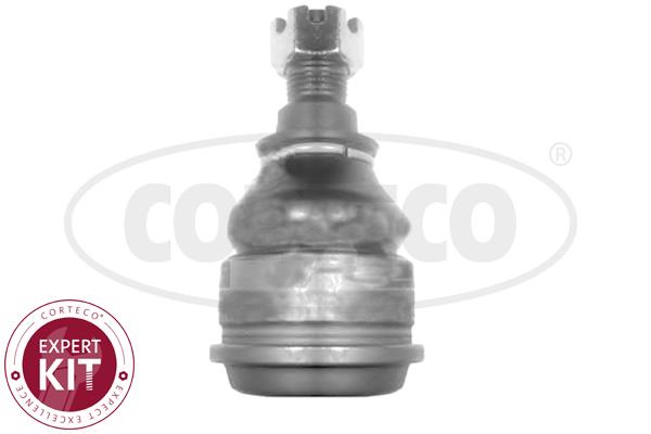 Corteco 49399503 Front lower arm ball joint 49399503: Buy near me in Poland at 2407.PL - Good price!