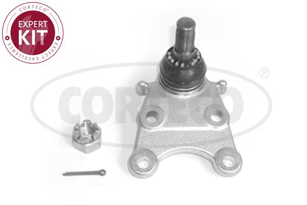 Corteco 49400581 Front lower arm ball joint 49400581: Buy near me at 2407.PL in Poland at an Affordable price!