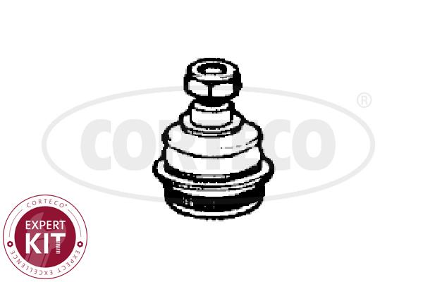 Corteco 49400958 Опора шаровая переднего нижнего рычага 49400958: Отличная цена - Купить в Польше на 2407.PL!