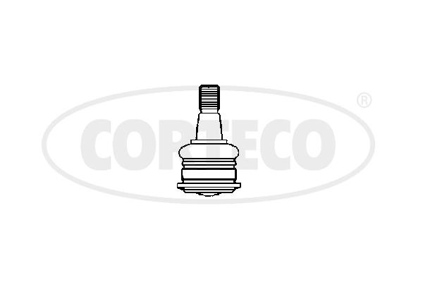Corteco 49401148 Ball joint 49401148: Buy near me in Poland at 2407.PL - Good price!