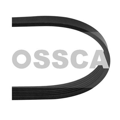 Ossca 04804 V-Ribbed Belt 04804: Buy near me in Poland at 2407.PL - Good price!