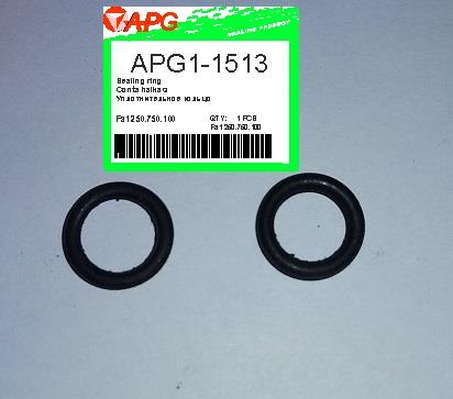 APG APG1-1513 Автозапчасть APG11513: Отличная цена - Купить в Польше на 2407.PL!