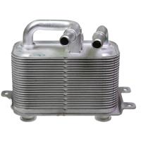 Birth 80261 Oil Cooler, engine oil 80261: Buy near me in Poland at 2407.PL - Good price!