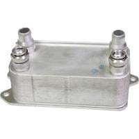 Birth 80295 Oil Cooler, engine oil 80295: Buy near me in Poland at 2407.PL - Good price!