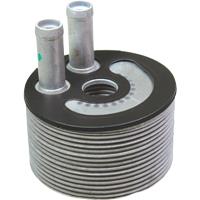 Birth 80312 Oil Cooler, engine oil 80312: Buy near me in Poland at 2407.PL - Good price!