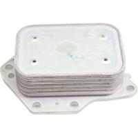 Birth 80566 Oil Cooler, engine oil 80566: Buy near me in Poland at 2407.PL - Good price!