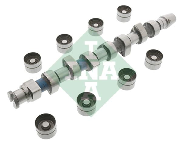 INA 428 0048 30 Camshaft set 428004830: Buy near me in Poland at 2407.PL - Good price!