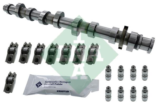 INA 428 0050 30 Camshaft set 428005030: Buy near me in Poland at 2407.PL - Good price!