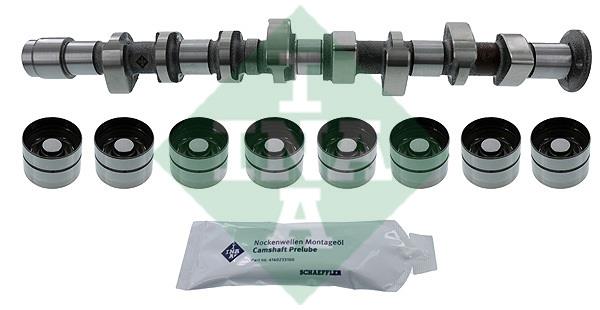 INA 428 0051 30 Camshaft set 428005130: Buy near me at 2407.PL in Poland at an Affordable price!
