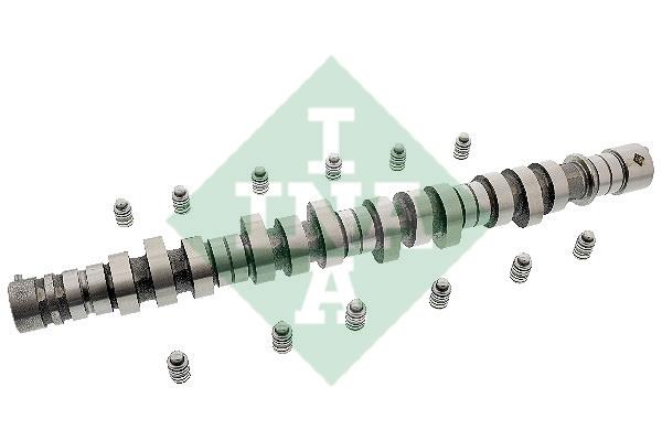 INA 428 0053 30 Camshaft set 428005330: Buy near me in Poland at 2407.PL - Good price!