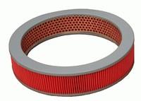 AVS Autoparts RA046 Filter RA046: Buy near me in Poland at 2407.PL - Good price!