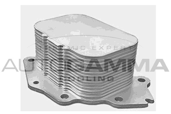 Autogamma 107882 Oil Cooler, engine oil 107882: Buy near me in Poland at 2407.PL - Good price!