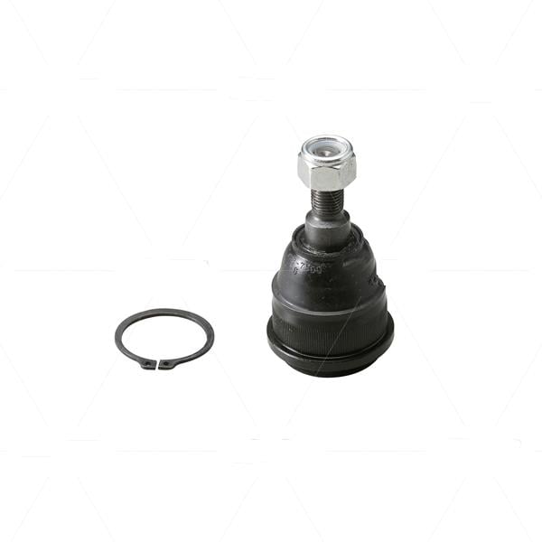 CTR CBN-65 Ball joint CBN65: Buy near me in Poland at 2407.PL - Good price!