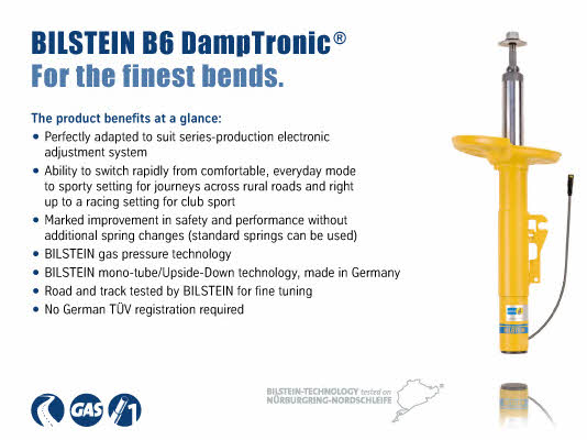 BIL025042 Bilstein Federbein