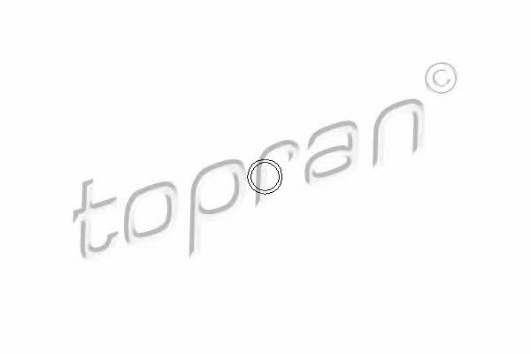 Topran 206 528 Прокладка болта крышки головки цилиндров 206528: Отличная цена - Купить в Польше на 2407.PL!