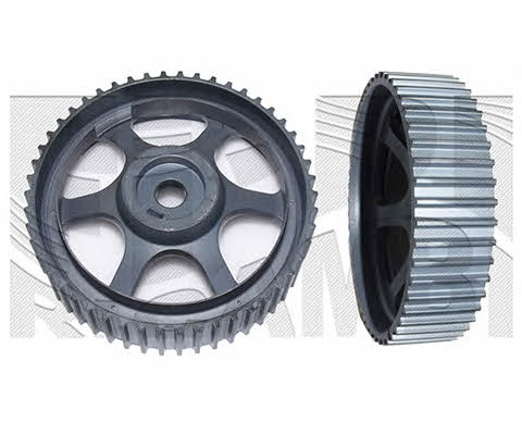 Caliber 88828 Camshaft Drive Gear 88828: Buy near me in Poland at 2407.PL - Good price!