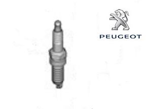 Citroen/Peugeot 96 762 881 80 Spark plug 9676288180: Buy near me in Poland at 2407.PL - Good price!