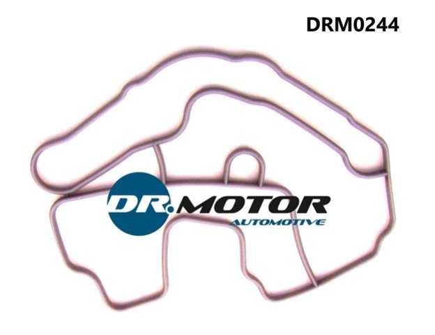 Dr.Motor DRM0244 Прокладка термостата DRM0244: Купить в Польше - Отличная цена на 2407.PL!
