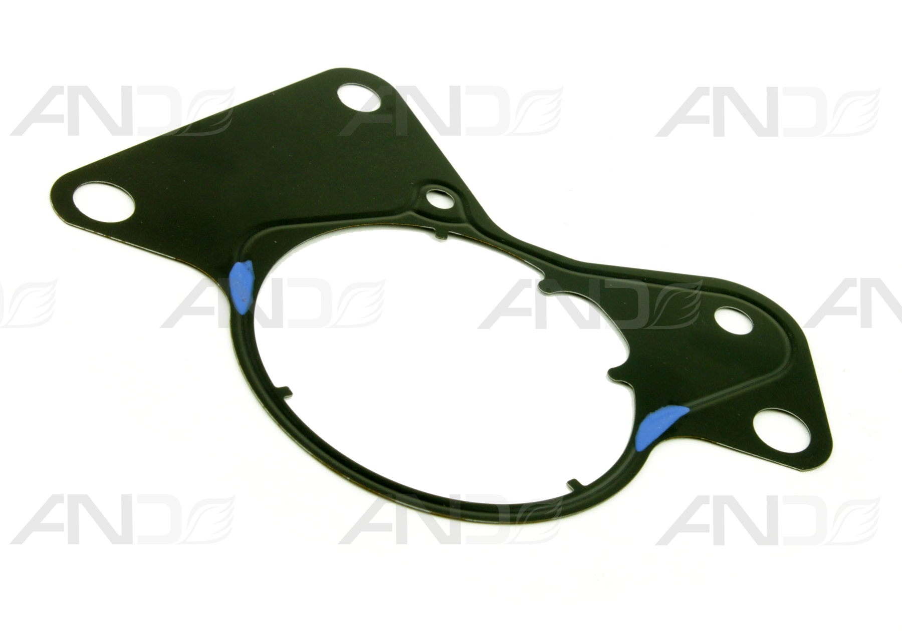 AND 14145013 Fuel pump gasket 14145013: Buy near me in Poland at 2407.PL - Good price!