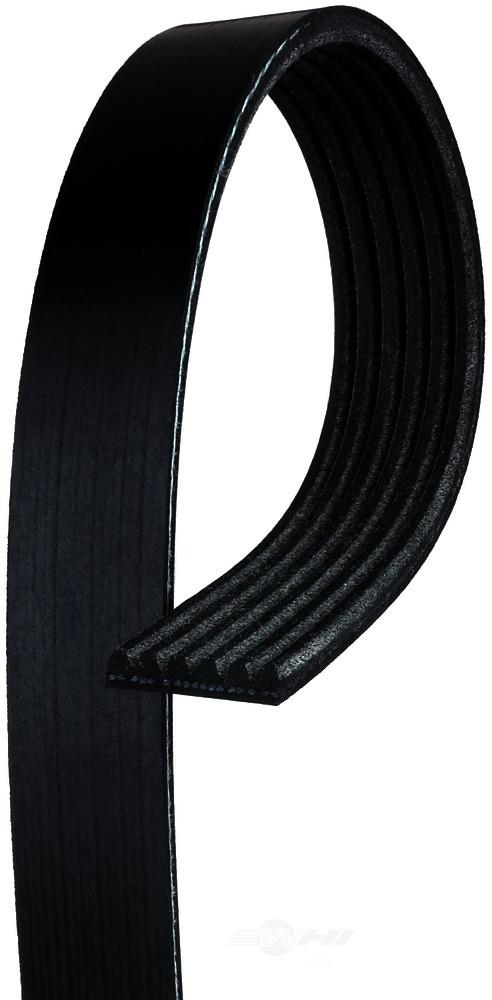 AC Delco 6K950 V-Ribbed Belt 6K950: Buy near me in Poland at 2407.PL - Good price!