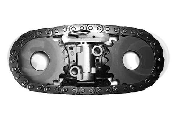 STC T406176 Timing chain kit T406176: Buy near me in Poland at 2407.PL - Good price!