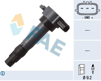 FAE 80339 Ignition coil 80339: Buy near me in Poland at 2407.PL - Good price!