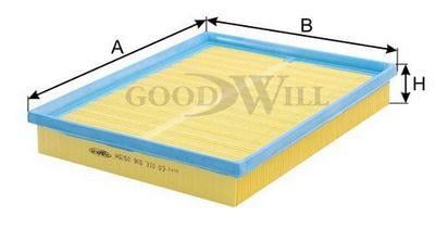 Goodwill AG 250 Air filter AG250: Buy near me in Poland at 2407.PL - Good price!