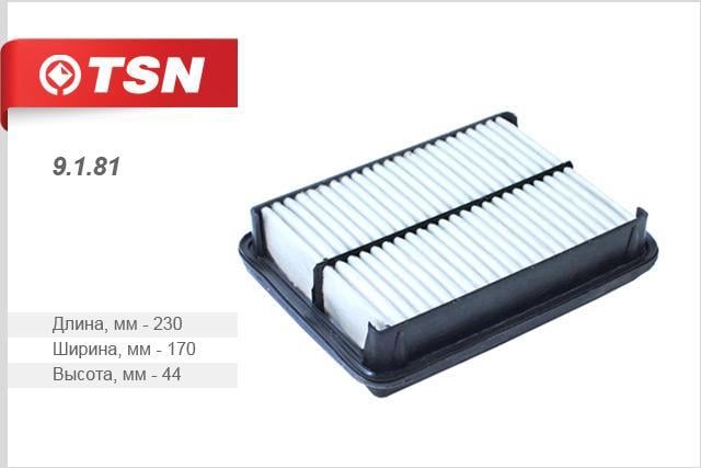 TSN 9.1.81 Air filter 9181: Buy near me in Poland at 2407.PL - Good price!