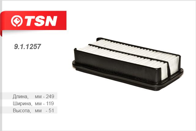 TSN 9.1.1257 Filtr powietrza 911257: Dobra cena w Polsce na 2407.PL - Kup Teraz!