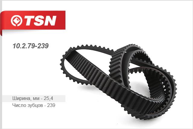 TSN 10.2.79-239 Timing belt 10279239: Buy near me in Poland at 2407.PL - Good price!