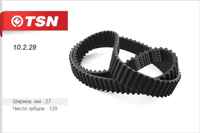 TSN 10.2.29 Timing belt 10229: Buy near me in Poland at 2407.PL - Good price!