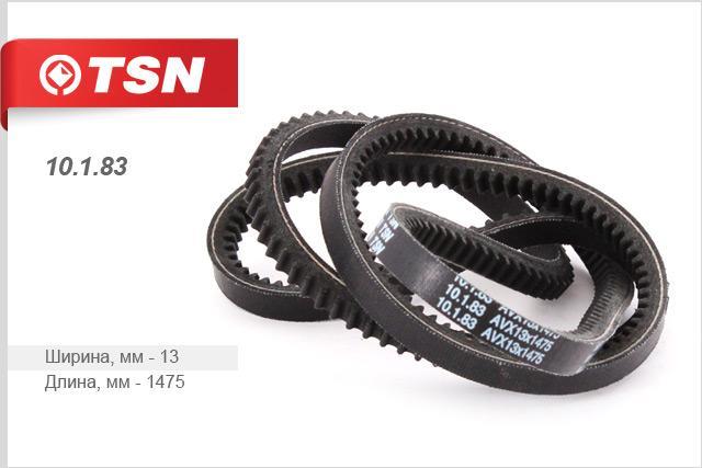 TSN 10.1.83 V-belt 10183: Buy near me in Poland at 2407.PL - Good price!