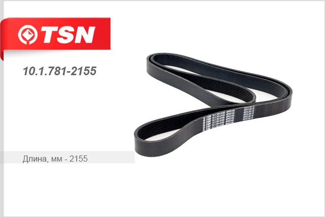 TSN 10.1.781-2155 V-Ribbed Belt 1017812155: Buy near me in Poland at 2407.PL - Good price!